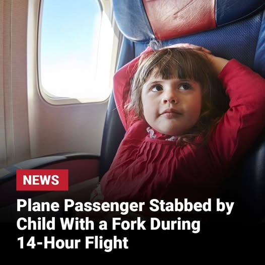 Plane Passenger Stabbed by Child With a Fork During 14-Hour Flight